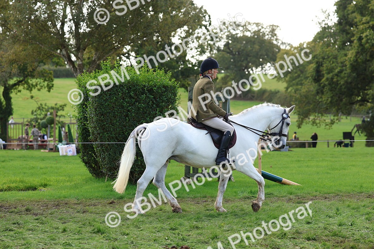 SBM_47610 - S28 - Veteran Ridden