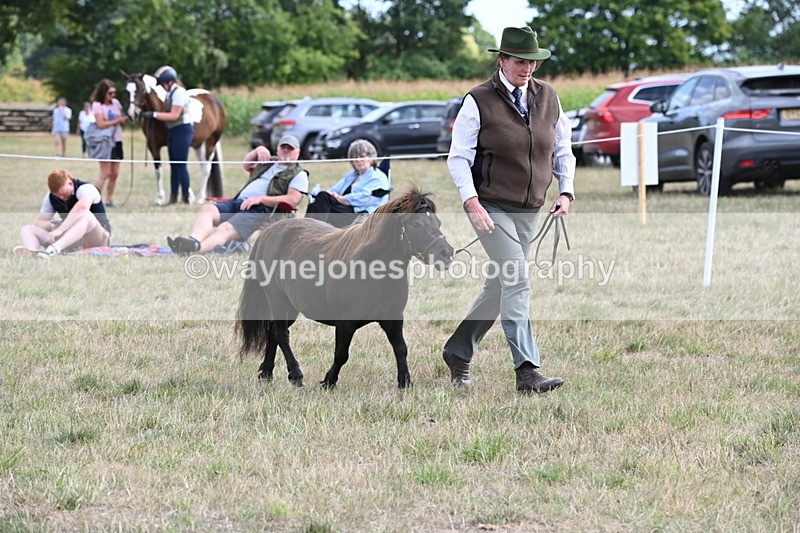 WJ6_6984 - Class 21 Shetland & Mini Horses