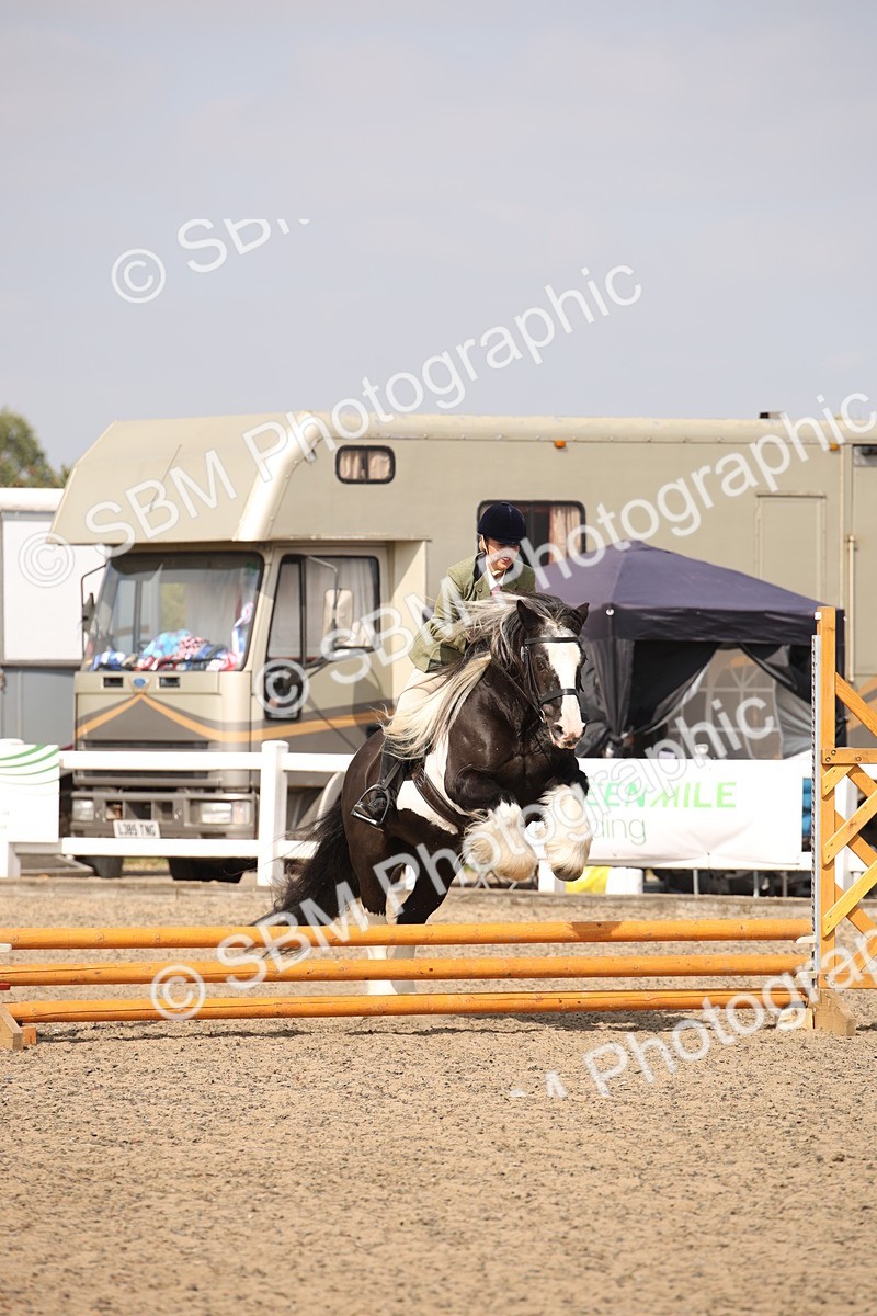 SBM_14333 - Class 407b - Working Veteran 60cm (20+)