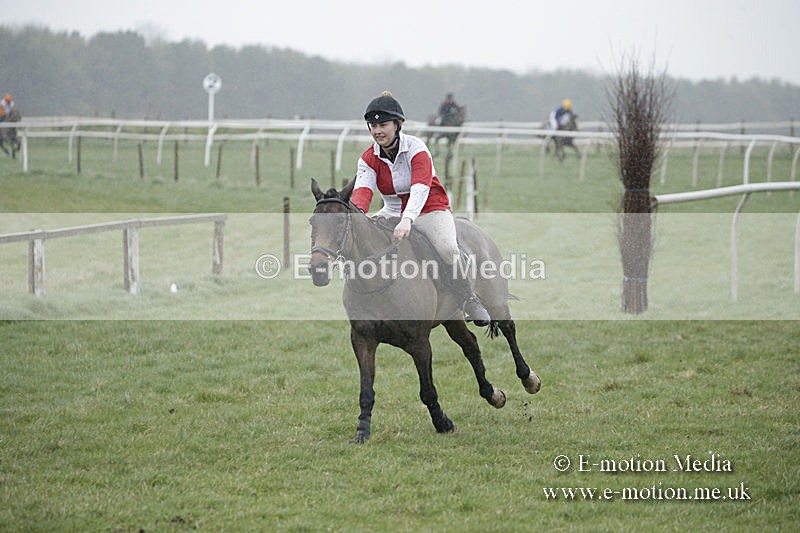PtP 150320 0037 - New Forest Point-to-Point Larkhill 15/03/20