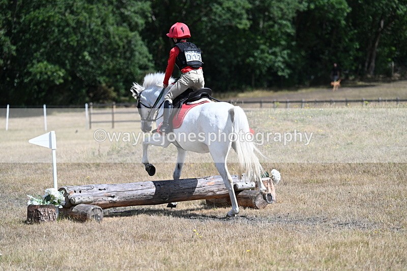 WJ7_0127 - 40cm Time 11:30 to 11:46