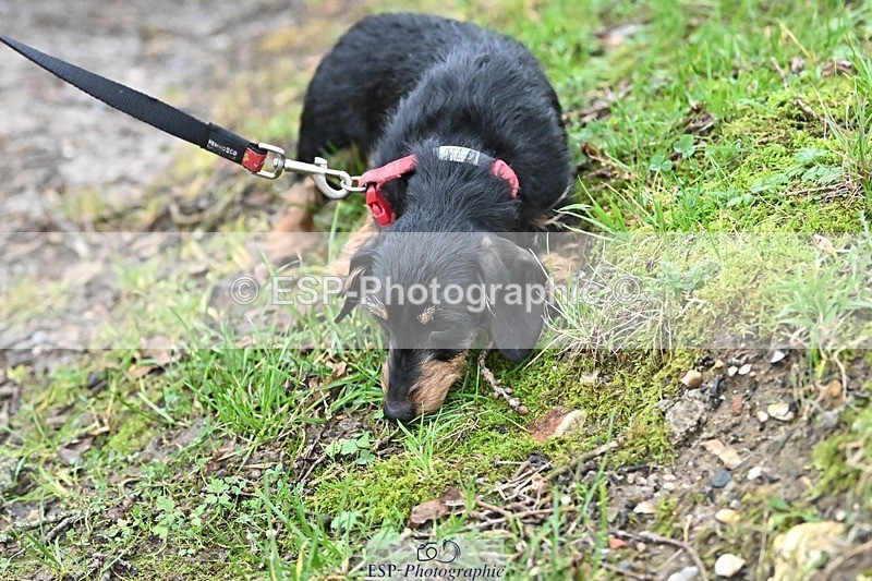 241206-144307-01136 - Naomi