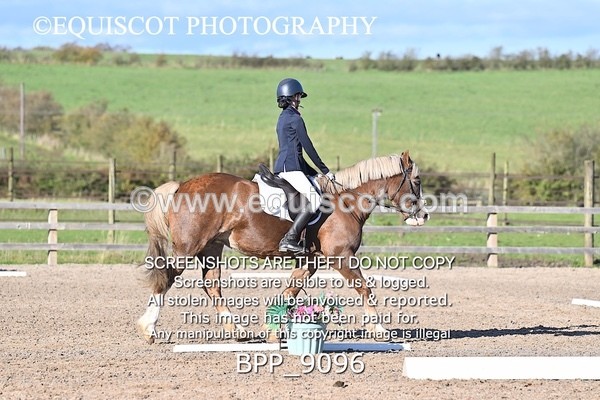 BPP_9096 - SHORT ARENA
