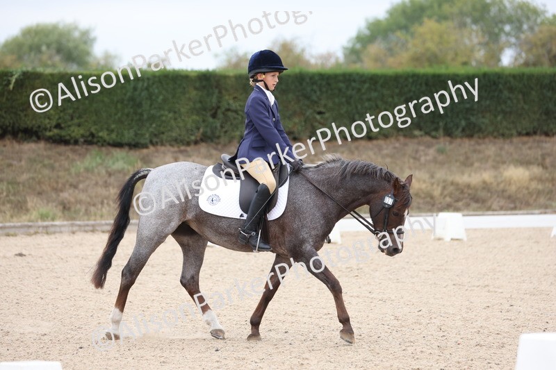 20250819-0880 - Class 2 - Prelim 1