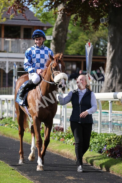 yr11052022r7-30 - Race 7 5.15pm British Stallion Studs EBF Novice Stakes