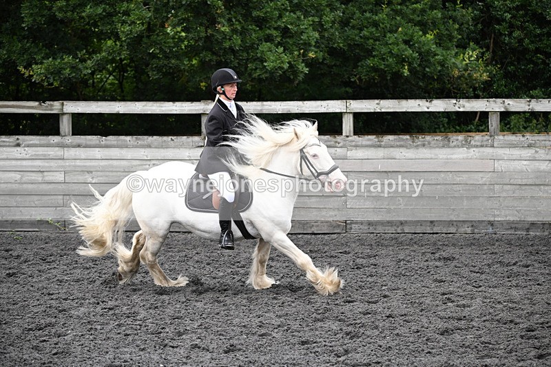WJ6_0253 - Class 13 Novice 60cm
