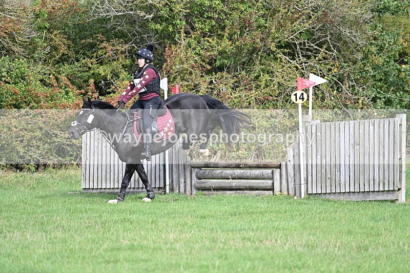 WJ7_8266 - 60cm Pairs