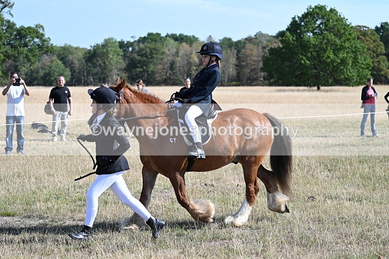 WJ7_3012 - Class 8 Ridden Tack & Turnout