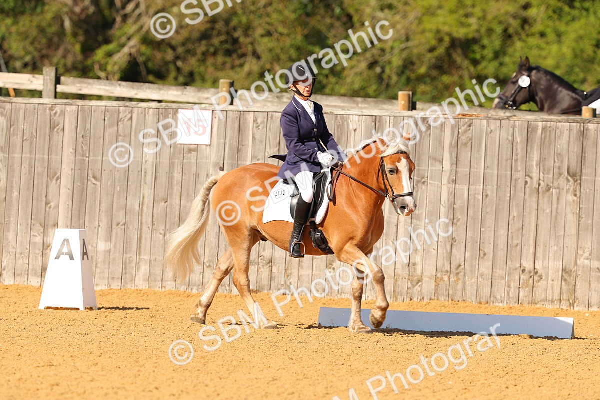 SBM_39928 - D18 - Grand Tour Championship - Novice 34