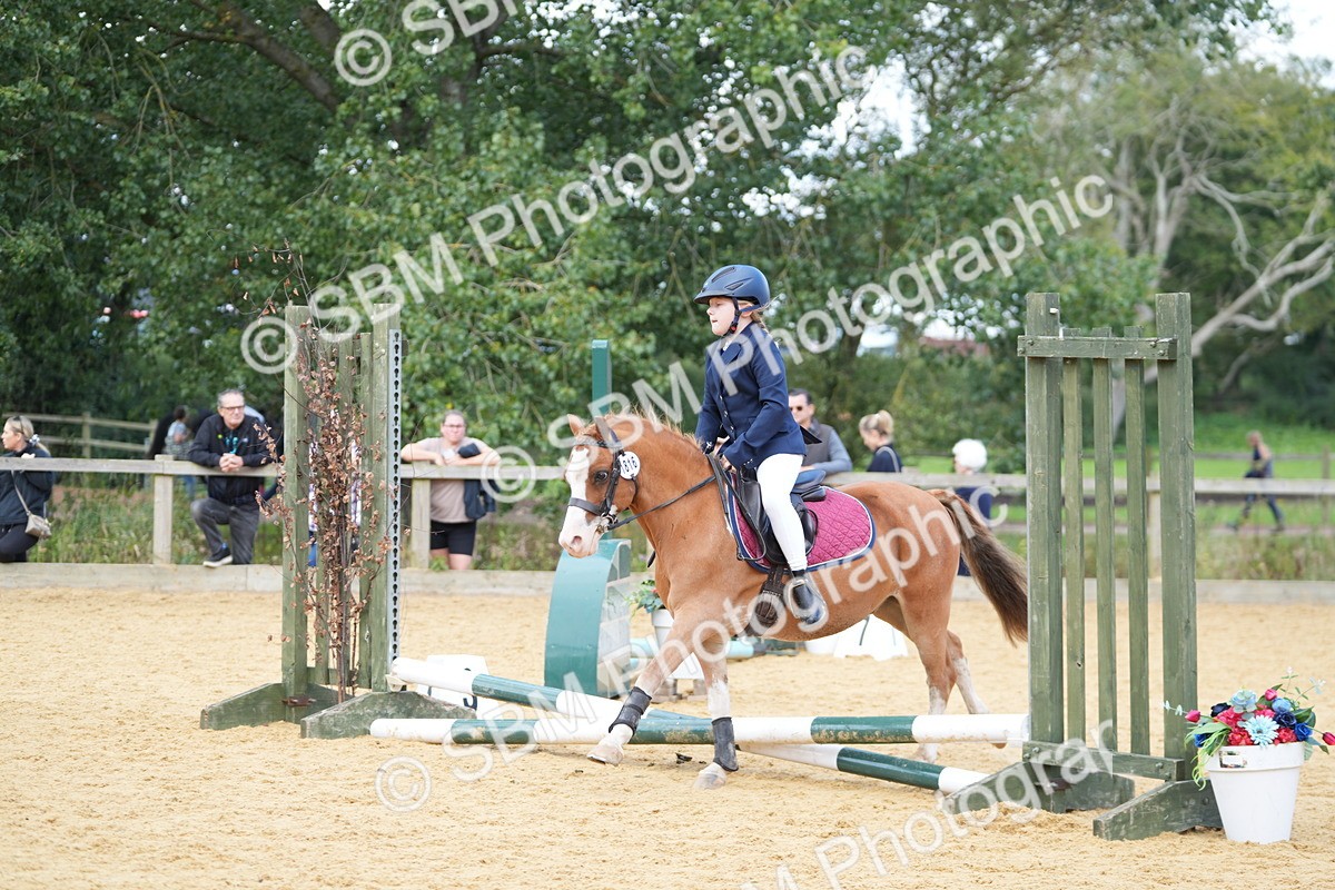 SBM_64390 - J2 - Mini Tour Junior Pony 30cm Championship