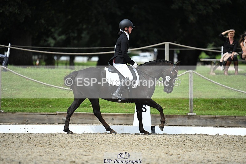 230812-121701-04078 - Cls 6 Novice Silver 12.10 to End