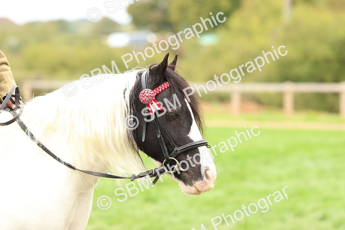 SBM_64644 - S58 - Coloured Pony Ridden