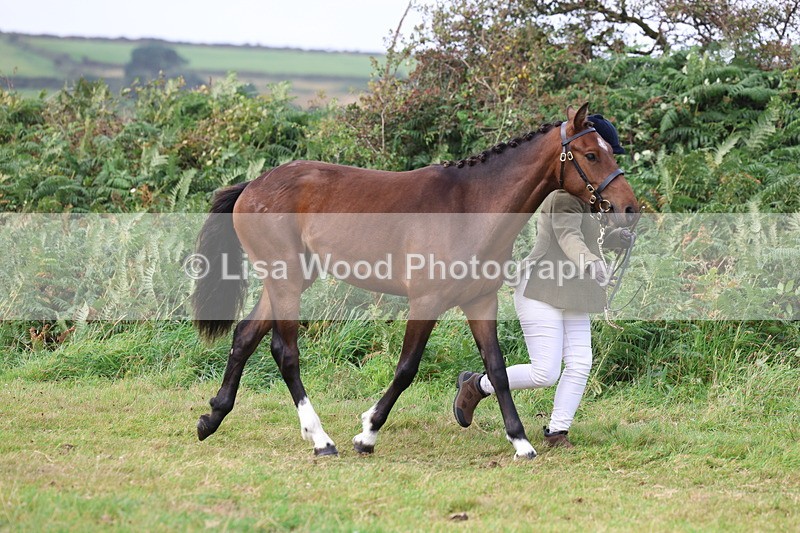 3E7A4082 - Class 15: Two Year Olds