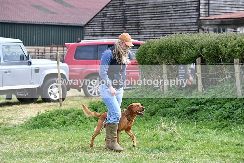 WJ5_9557 - Class 3 Most Handsome Dog