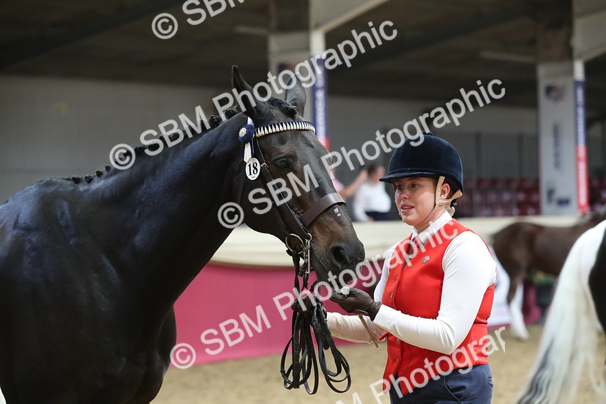 SBM_06423 - Class 9R Regional- IH Pre Vet
