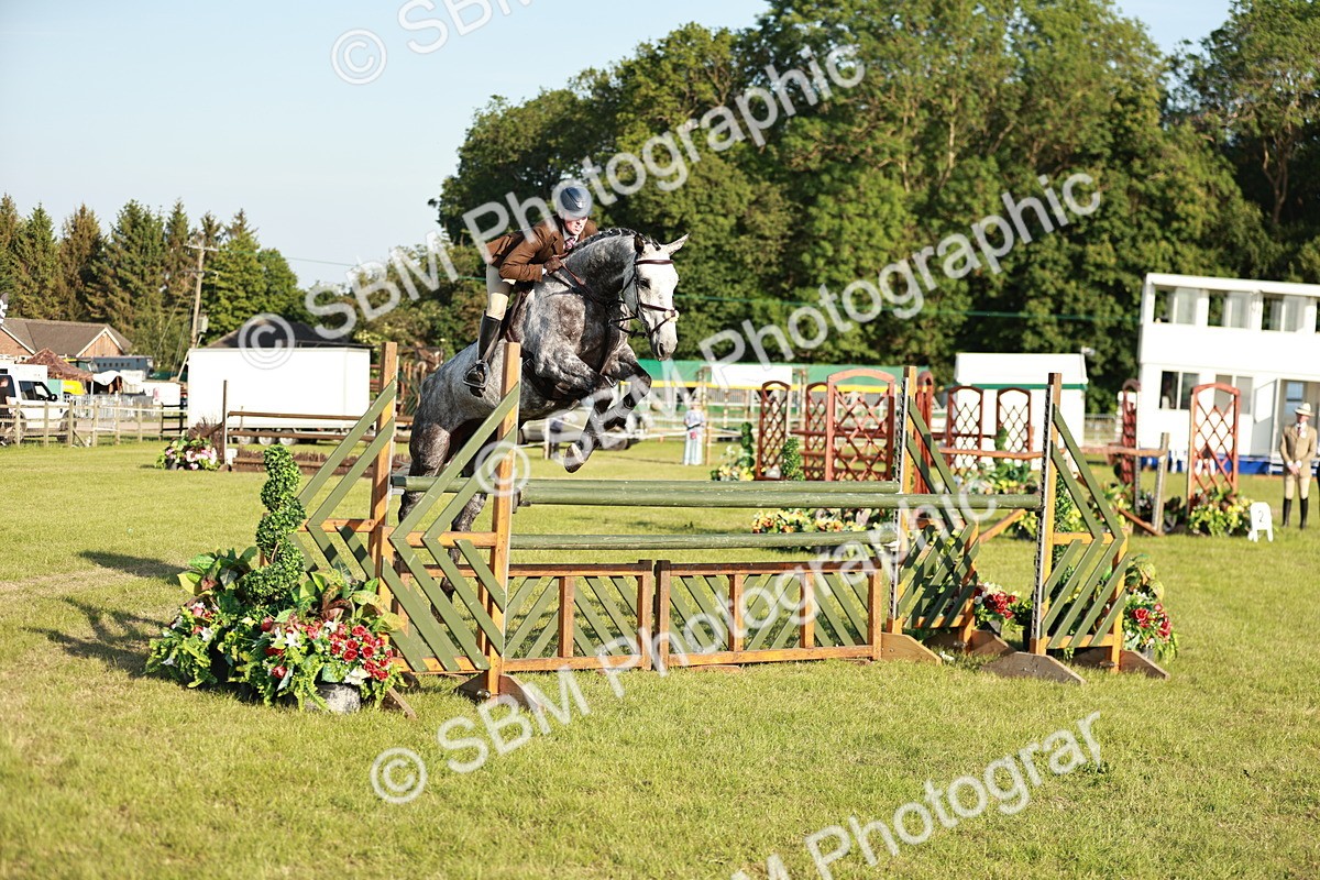 SBM_20345 - Class 117-119 - Sport Horse Working Hunter