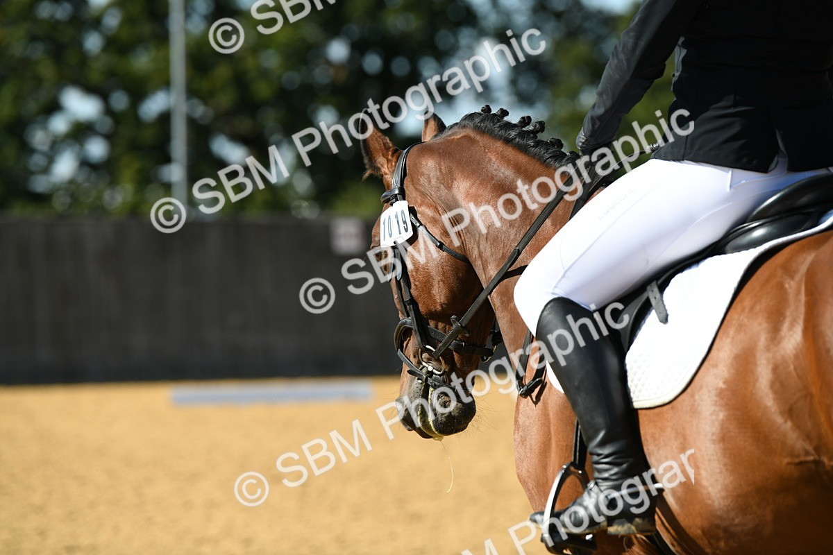 SBM_24979 - D13 - Grand Tour Championship - Prelim 12