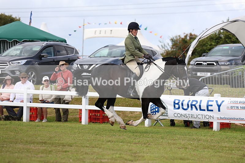 3E7A0335 - Class 6: Rising Star Maxi Cobs