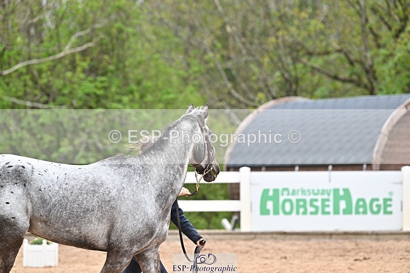 250423-161113-02018 - 4pm to 5pm