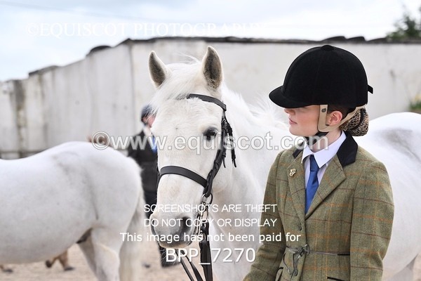 BPP_7270 - RING 1  (RIDDEN HORSES / IN HAND / VETERAN ETC)