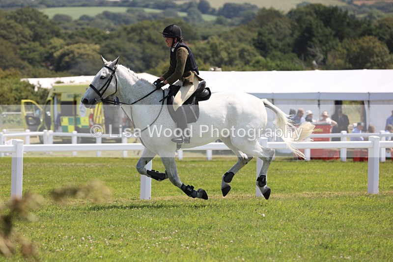 JPP_3187 - Class 22: Working Hunter 70cm