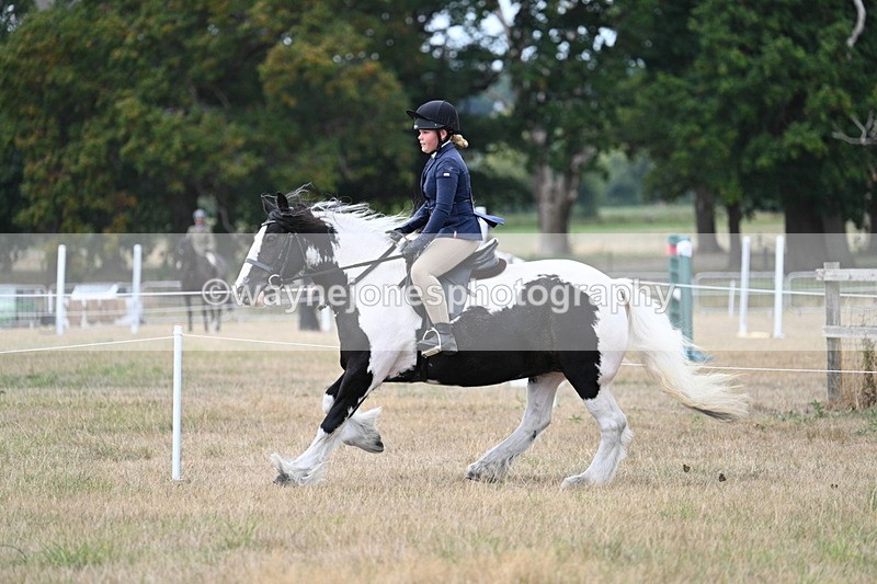 WJ7_5111 - Class 12 Ridden Cob