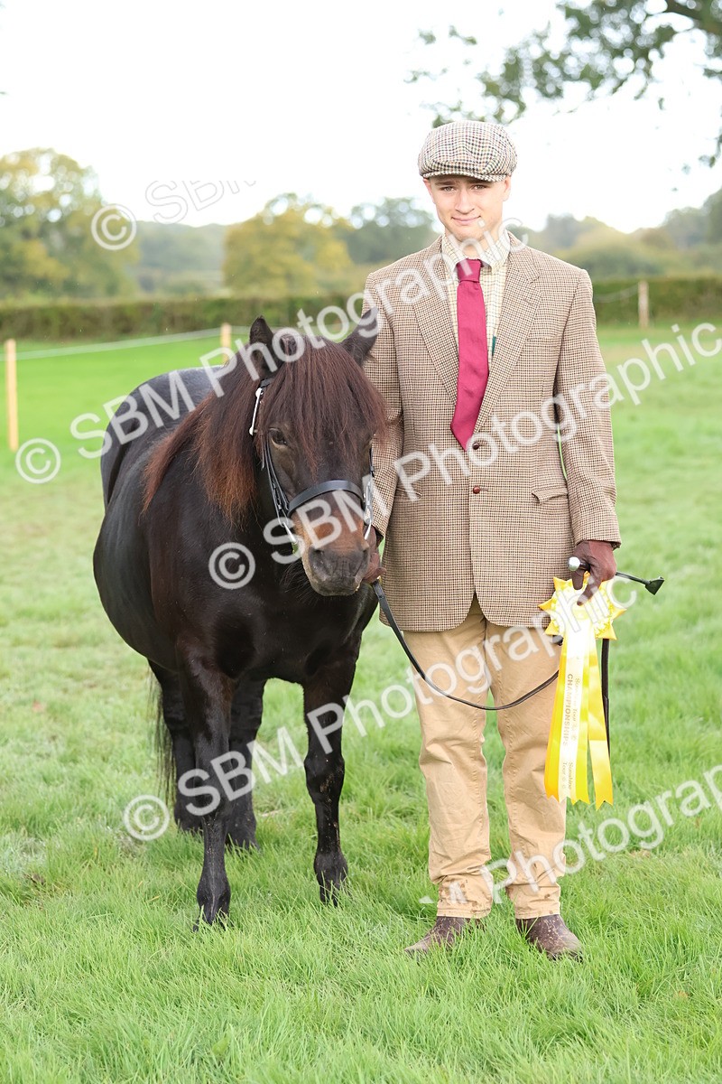 SBM_39381 - S24 - Young Veteran In Hand