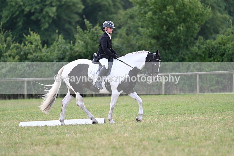 WJ7_5224 - Time 11:22 to 11:51