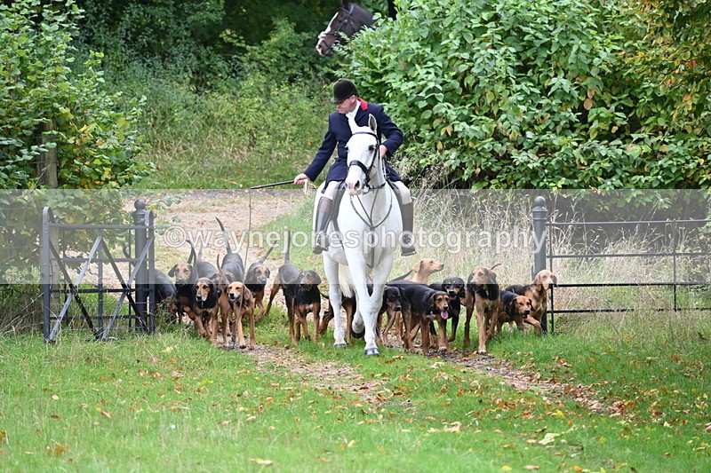 WJ6_0040 - Camera 2 Meet