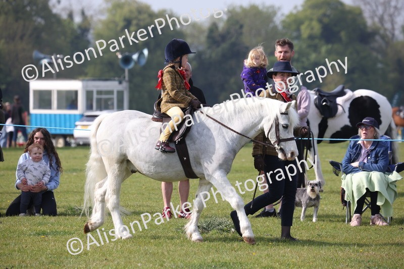 20260426-0296 - Class 30 - Tiny Tots Lead Rein