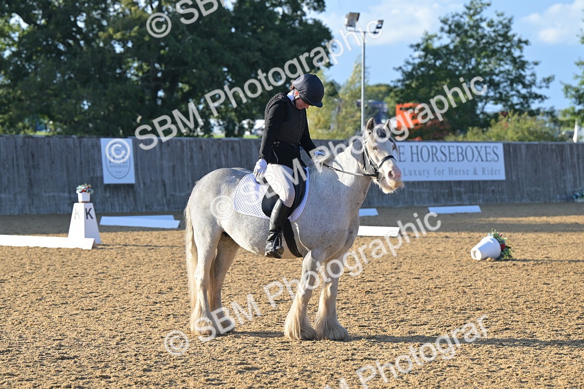 SBM_13160 - D3 - Small Tour Championship Intro 3