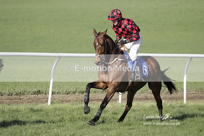 PtP 100423 1266 - Old Berkshire Point-to-Point Lockinge 10/04/23