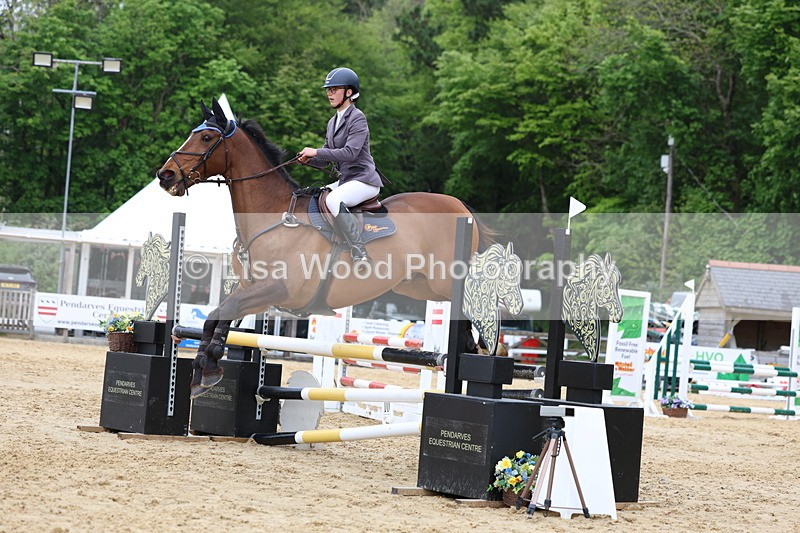 3E7A6491 - Class 4: Senior British Novice/90cm open