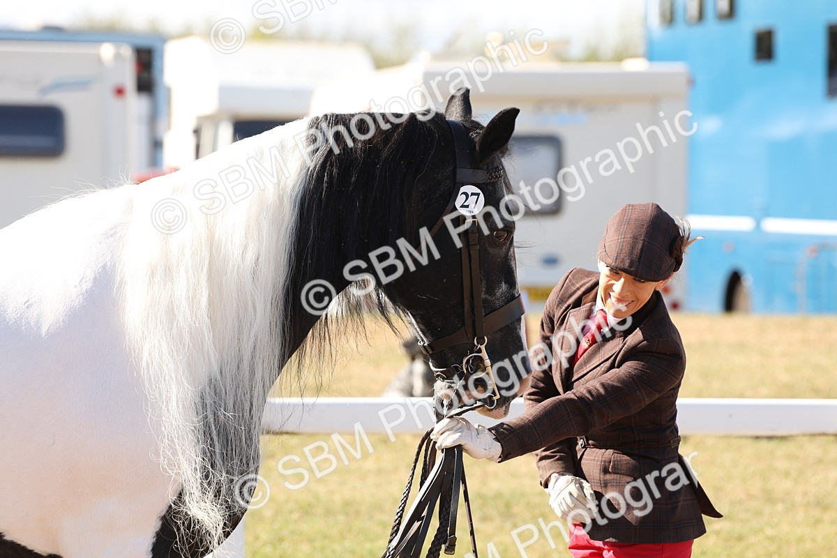 SBM_12956 - Class 206 - IH Non Show Type Pony