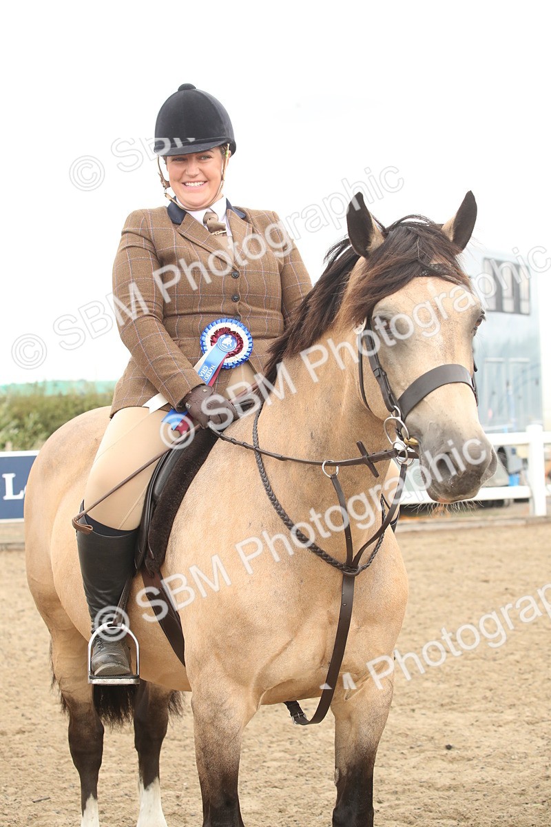 SBM_16696 - Class 507a - Working Veteran - 60cm (15-19)