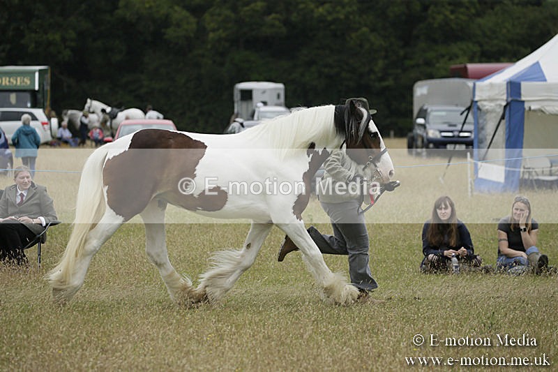 B230619-0828 - Bourne Valley Riding Club Summer Show 23/06/19