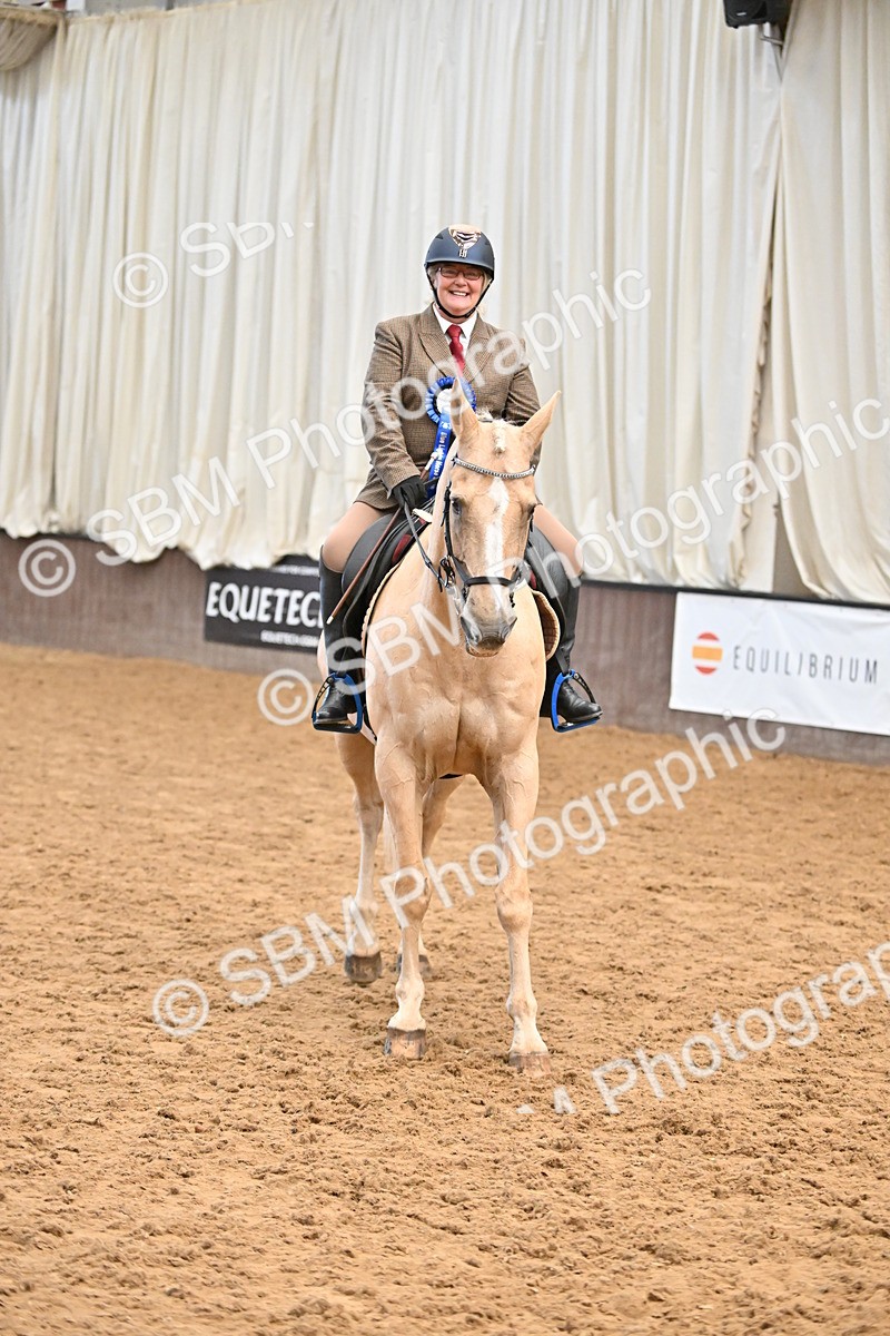 SBM_001490 - Class 19,20 - Ridden Native, Foreign Breeds & Warmbloods