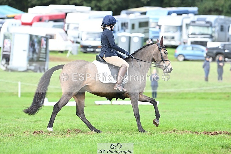 231020-161430-11639 - 558-BATHLEYHILLS.GOLDEN.SPRAY-Cleo.Whitbread-DR