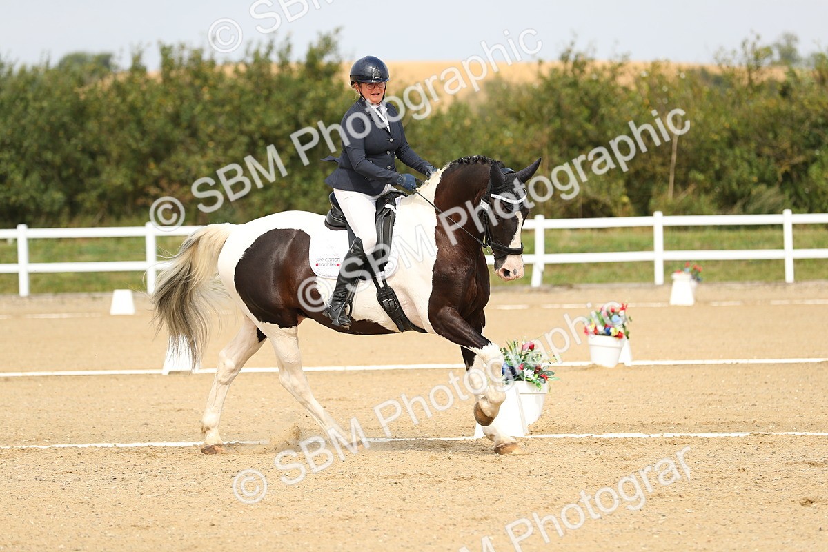 SBM_017271 - Class 13 - Novice 23 - 13.31-14.13