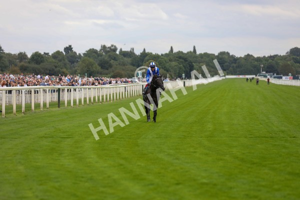 230823-Race 4-Mostahdaf-4312 - Race 4 3.35pm Juddmonte International Stakes