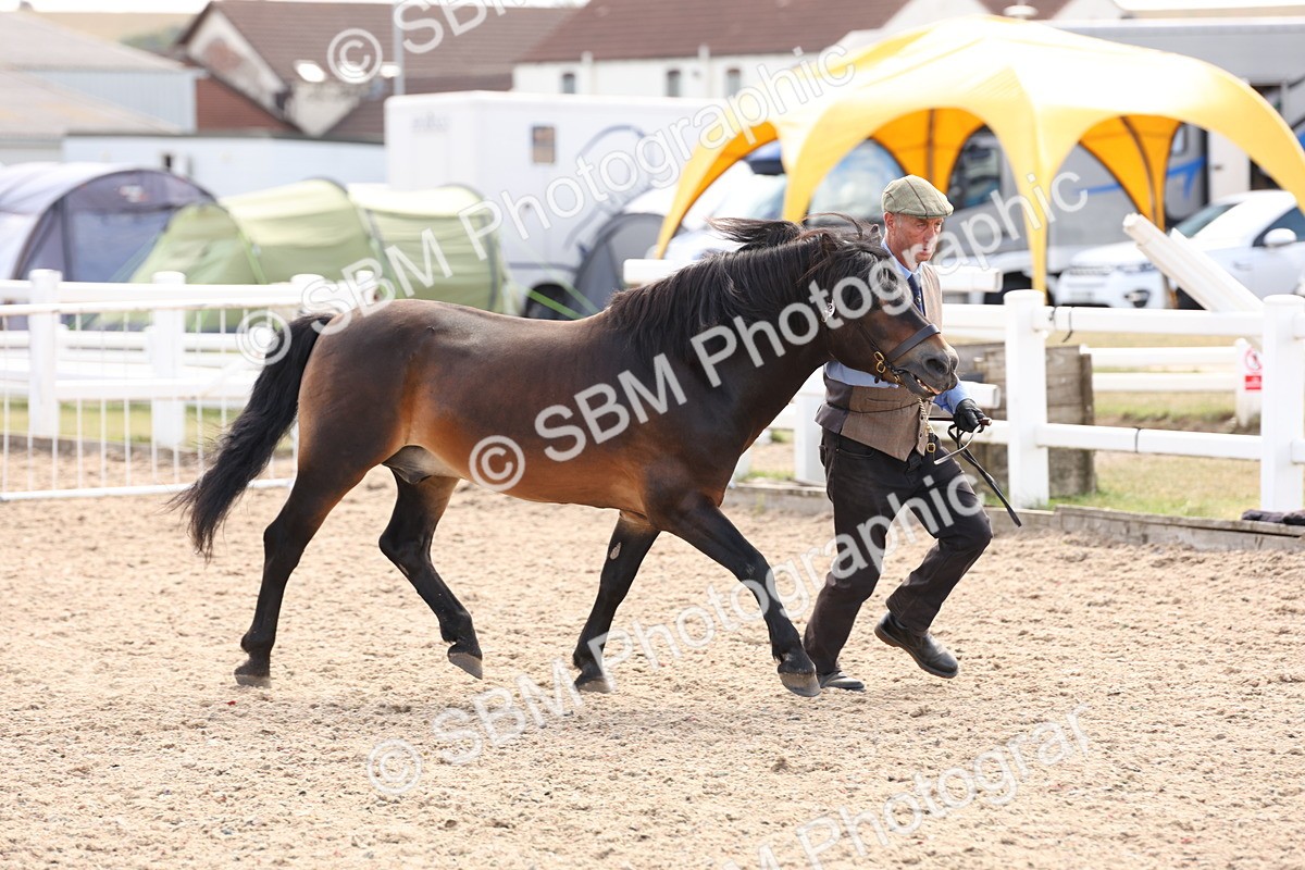 SBM_15068 - Class 209 - IH Veteran Pony