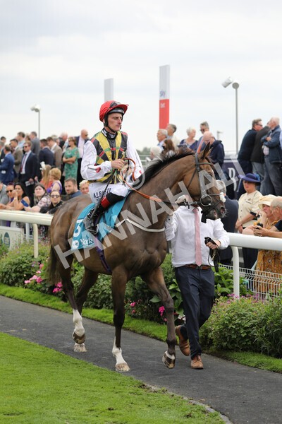 yr18082022r3-5 - Race 3 3.00pm Clipper Logistics Stakes