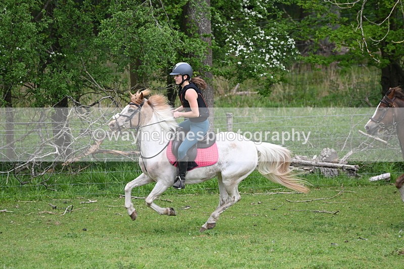 WJ6_3369 - A camera