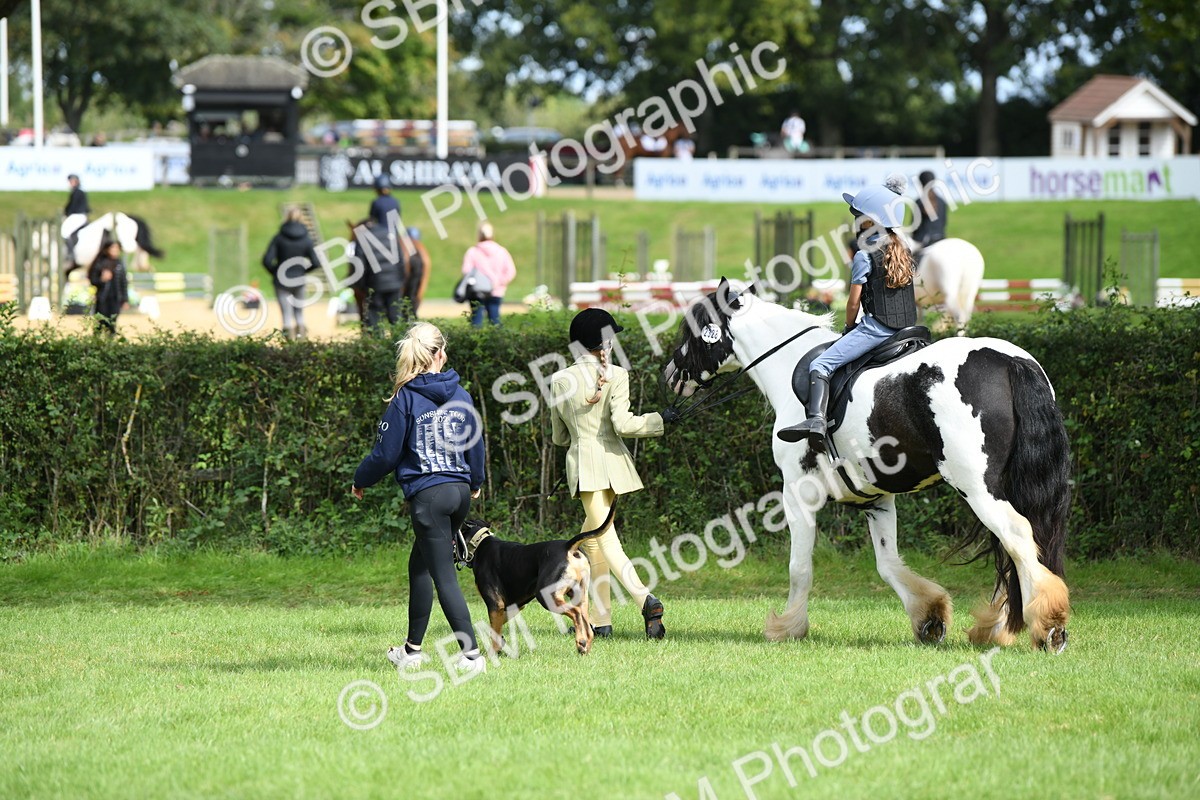 SBM_46941 - S12 - Family Horse & Pony