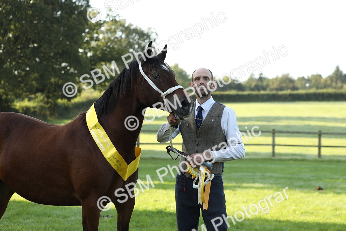 SBM_57978 - S42 - Youngstock