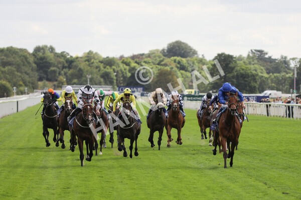 yr19082022r3-23 - Race 3 3.00pm Al Basti Equiworld Dubai Gimcrack Stakes