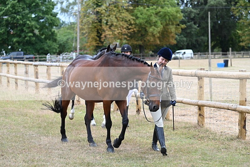WJ7_9089 - Class 4a Prettiest Mare 14.2hh and over