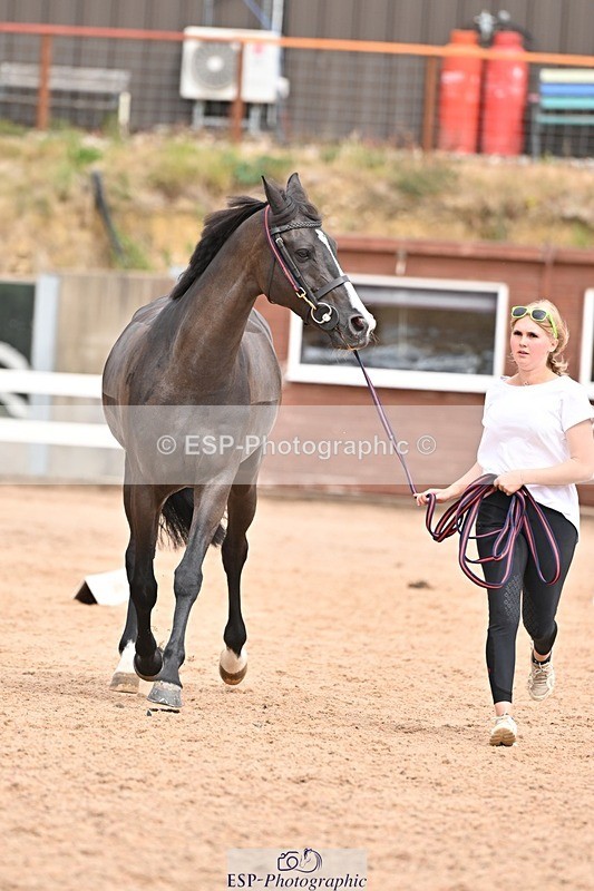 250716-153350-02015 - Trot Up 3.30 to 4.30