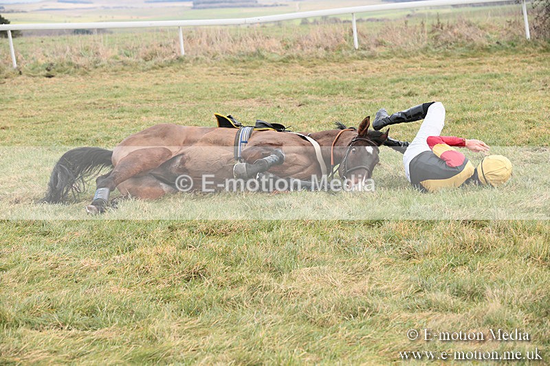 PtP 230119 76 - Royal Artillery Point-to-Point  - Larkhill  - 26/01/19