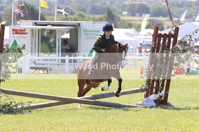 JPP_2271 - Class 20: Tiny Tots Working Hunter Pony